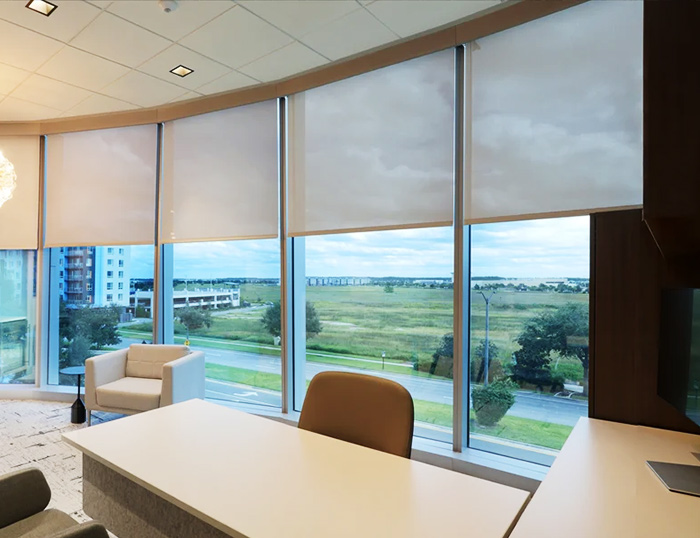 Window Curtain